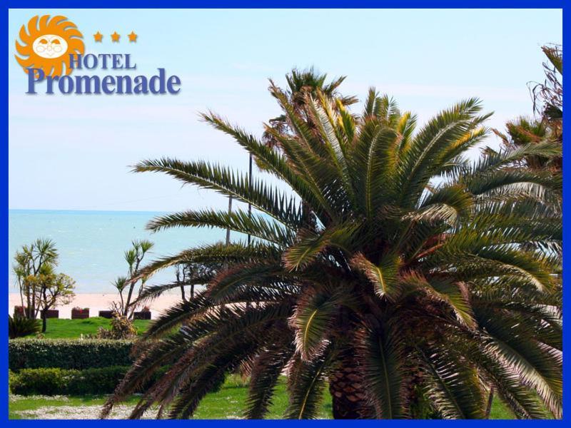 Hotel Promenade Porto SantʼElpidio Eksteriør billede
